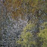 Bois de l'Étang de La Loy