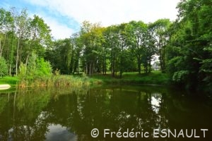Étang inférieur du Parc des Cèdres