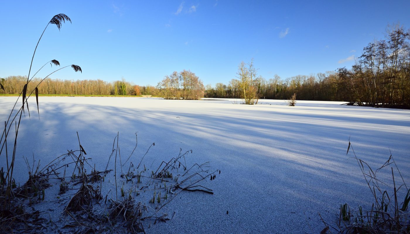 Étang de La Loy