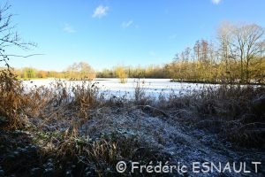 Étang de La Loy