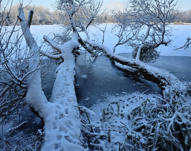 La vallée de la Brosse sous la neige